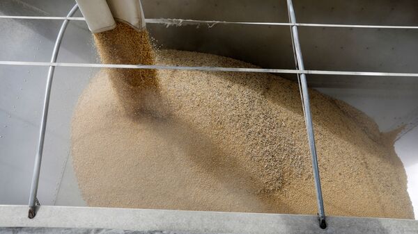 美国大豆 - 俄罗斯卫星通讯社