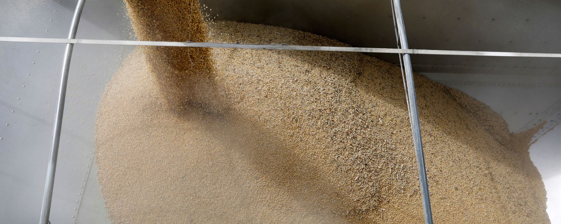 美国大豆 - 俄罗斯卫星通讯社, 1920, 20.08.2025