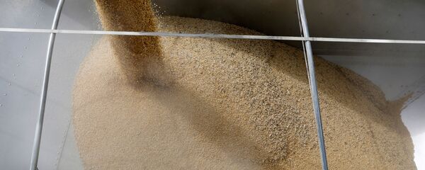 Загрузка сои - 俄罗斯卫星通讯社