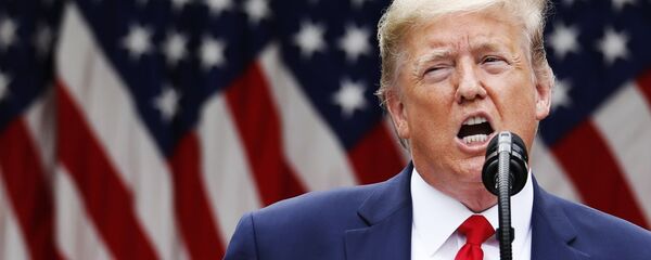 Президент США Дональд Трамп во время брифинга в розовом саду возле Белого дома - 俄罗斯卫星通讯社