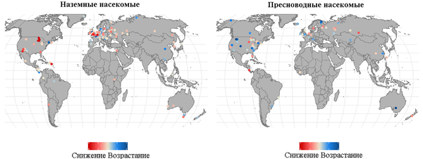 全球陆地昆虫数量呈下降趋势 - 俄罗斯卫星通讯社