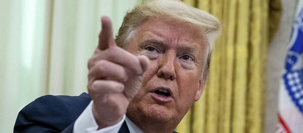 Президент США Дональд Трамп во время пресс-конференции в Белом доме Президент США Дональд Трамп во время пресс-конференции в Белом доме - 俄罗斯卫星通讯社