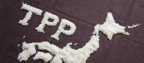  Транстихоокеанское партнерство - 俄羅斯衛星通訊社