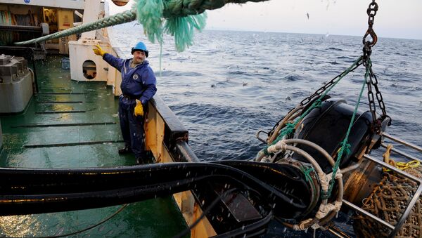 Рыбный промысел в районе острова Кунашир - 俄羅斯衛星通訊社