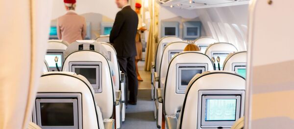 Салон бизнес-класса в самолете - 俄羅斯衛星通訊社