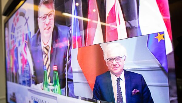 Видеоконференция глав дипломатических структур Вышеградской группы и Nordic-Baltic Eights - 俄罗斯卫星通讯社