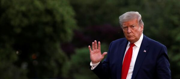 Президент США Дональд Трамп на лужайке у Белого дома в Вашингтоне  - 俄罗斯卫星通讯社