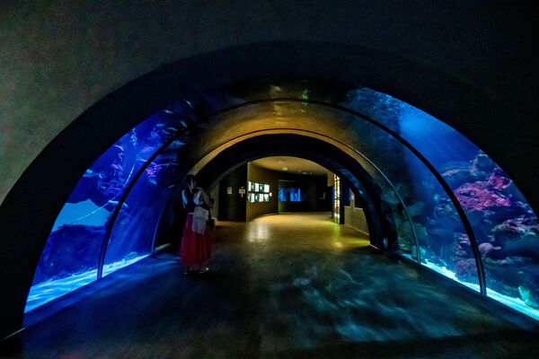 水族館中的參觀者，米蘭 - 俄羅斯衛星通訊社