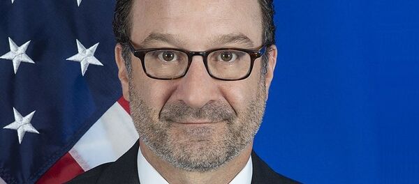 Дэвид Шенкер - 俄罗斯卫星通讯社