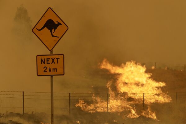 Природные пожары в Австралии - 俄罗斯卫星通讯社