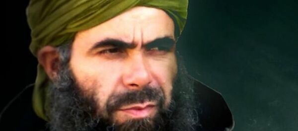 基地组织北非分支头目在马里被击毙 - 俄罗斯卫星通讯社