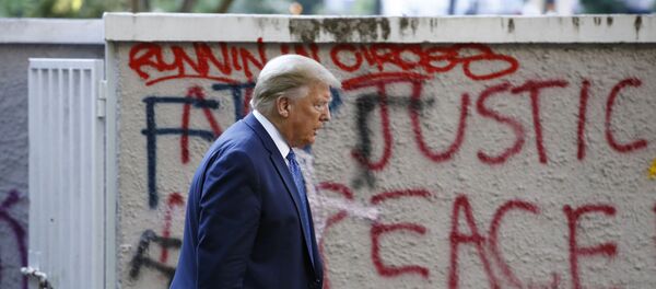 President Donald Trump  - 俄罗斯卫星通讯社