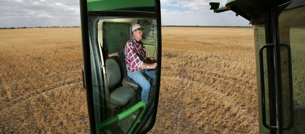 Уборка пшеницы в Австралии - 俄罗斯卫星通讯社