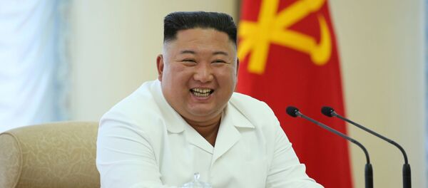 暴风雨前的平静？金正恩再次令所有人惊讶 - 俄罗斯卫星通讯社