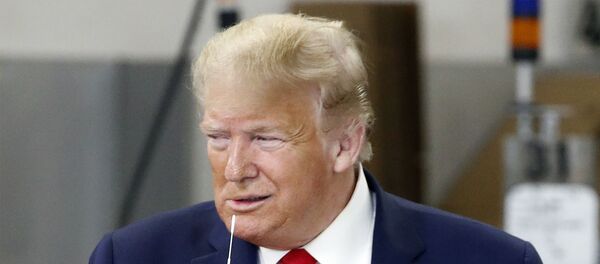 特朗普就国际刑事法院调查美国雇员签署制裁法令 - 俄罗斯卫星通讯社