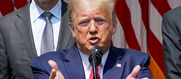 Президент США Дональд Трамп во время пресс-конференции - 俄罗斯卫星通讯社