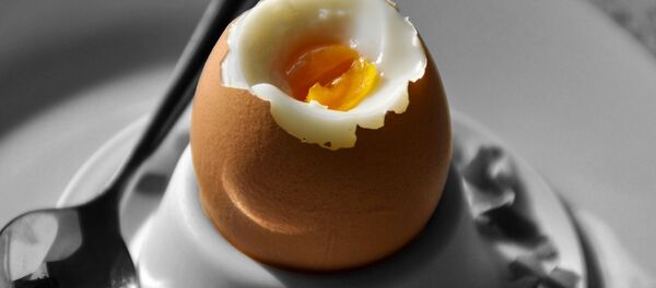 Вареное яйцо - 俄羅斯衛星通訊社