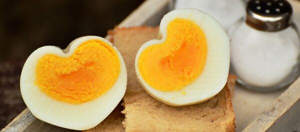 Вареное яйцо на хлебе - 俄羅斯衛星通訊社