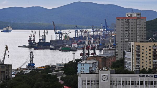 Вид на Владивостокский морской торговый порт - 俄罗斯卫星通讯社