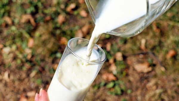科学家认为喝奶使得草原人口大量增加 - 俄罗斯卫星通讯社