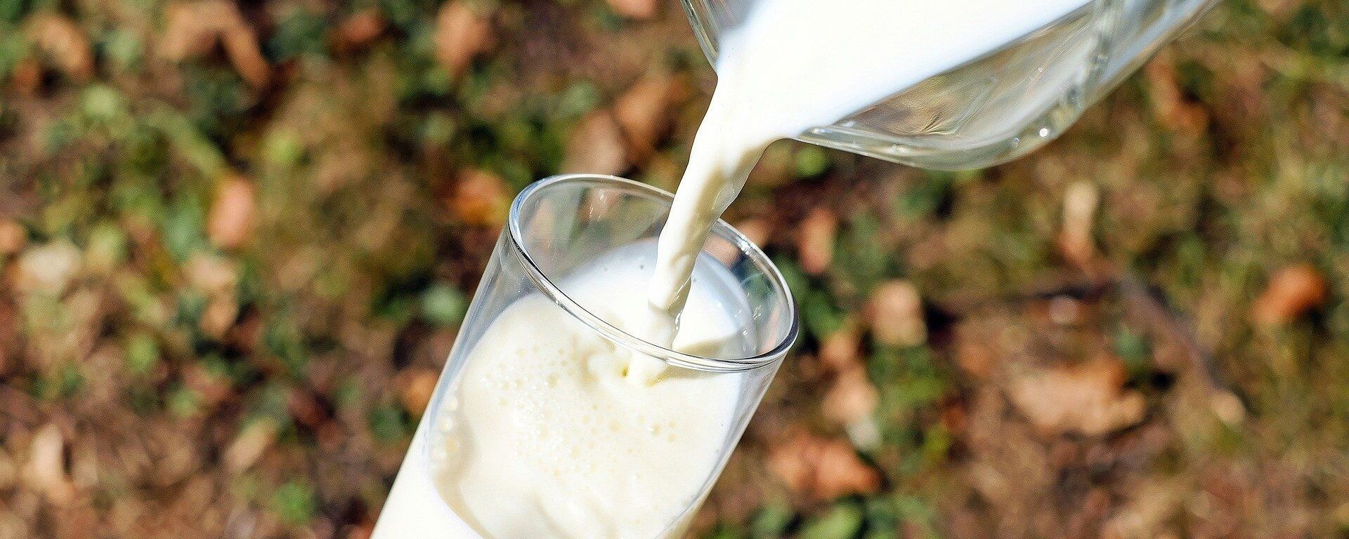 科學家認為喝奶使得草原人口大量增加 - 俄羅斯衛星通訊社, 1920, 23.09.2021