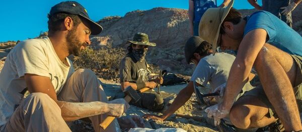 阿根廷科学家发现长有翼状前肢的恐龙新物种 - 俄罗斯卫星通讯社