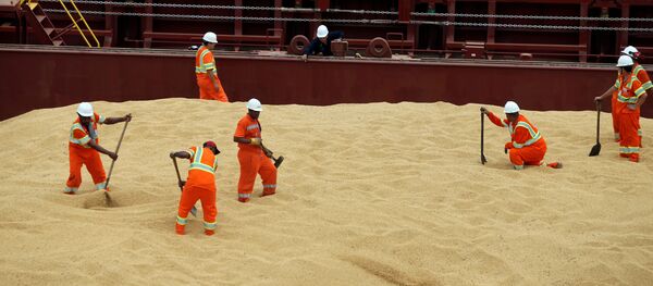 Загрузка сои на торговом судне. - 俄罗斯卫星通讯社
