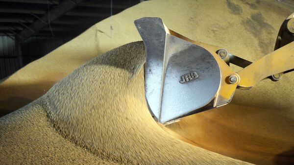 Погрузка сои - 俄罗斯卫星通讯社