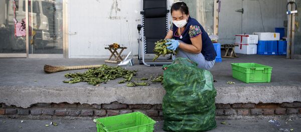 现代科技正在摧毁传统的市场文化及饮食文化？ - 俄罗斯卫星通讯社