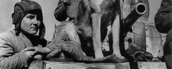 Экипаж советского бронеавтомобиля БА-10: старший сержант Евгений Петрович Эндрексон, сержант Владимир Поликарпович Поршаков и овчарка Джульбарс. Южный фронт. Архивное фото Экипаж советского бронеавтомобиля БА-10: старший сержант Евгений Петрович Эндрексон, сержант Владимир Поликарпович Поршаков и овчарка Джульбарс. Южный фронт. Архивное фото - 俄羅斯衛星通訊社