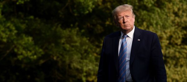 Президет США Дональд Трамп - 俄羅斯衛星通訊社