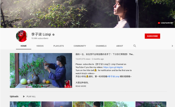 李子柒视频被剽窃 外国人还以为她是越南人  - 俄罗斯卫星通讯社