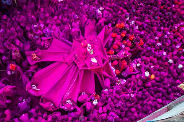 Работа индийского фотографа Shubham Kothavale Розовый фестиваль, вошедшая в шорт-лист конкурса имени Андрея Стенина в категории «Моя планета. Одиночная фотография» - 俄羅斯衛星通訊社