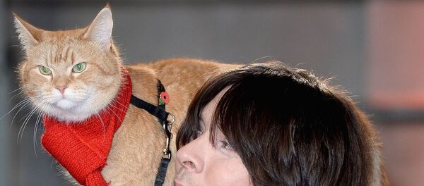 英國為流浪貓鮑勃的紀念碑籌款 - 俄羅斯衛星通訊社