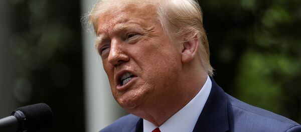 Президент США Дональд Трамп - 俄罗斯卫星通讯社