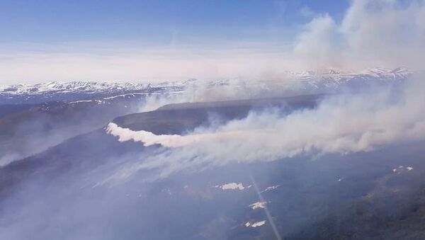 堪察加半岛超过100公顷的森林起火 - 俄罗斯卫星通讯社