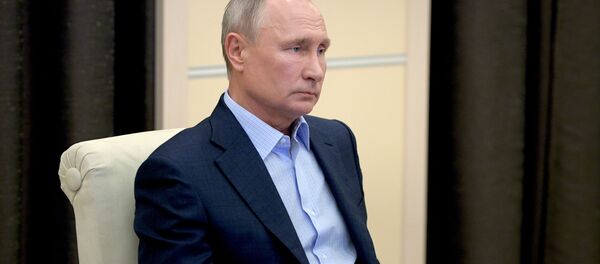 Президент РФ Владимир Путин - 俄罗斯卫星通讯社