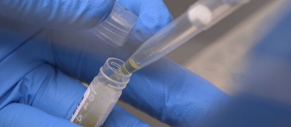 Медик из Национального института здравоохранения тестирует образцы пациентов - 俄罗斯卫星通讯社