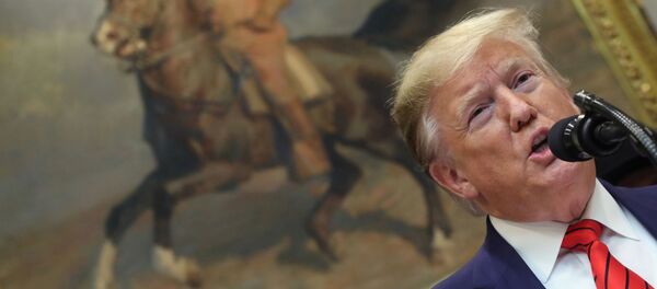 Президент США Дональд Трамп - 俄罗斯卫星通讯社