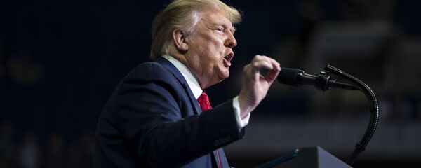 Президент США Дональд Трамп - 俄罗斯卫星通讯社