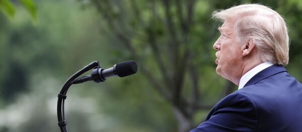 Президент США Дональд Трамп во время брифинга в розовом саду возле Белого дома в Вашингтоне - 俄羅斯衛星通訊社