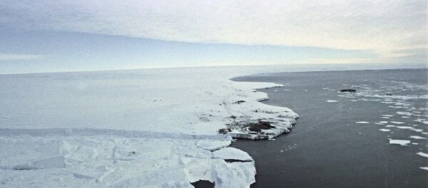 南極 - 俄羅斯衛星通訊社