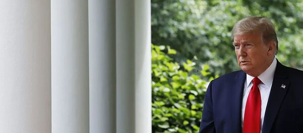 Трамп - 俄罗斯卫星通讯社