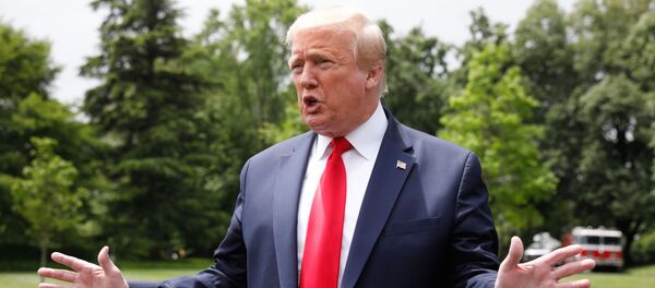 Президент США Дональд Трамп на пресс-подходе перед отлетом в Детройт Президент США Дональд Трамп на пресс-подходе перед отлетом в Детройт - 俄羅斯衛星通訊社