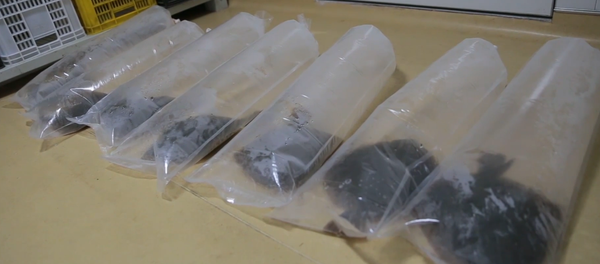 没有水？没有问题！ - 俄罗斯卫星通讯社