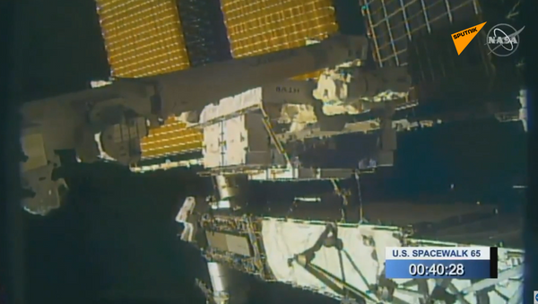 Астронавт НАСА потерял зеркало во время выхода в открытый космос (видео) - 俄罗斯卫星通讯社