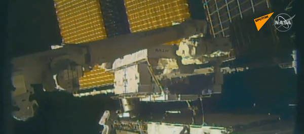 Астронавт НАСА потерял зеркало во время выхода в открытый космос (видео) - 俄羅斯衛星通訊社