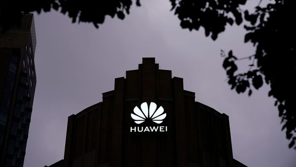 Логотип Huawei - 俄罗斯卫星通讯社