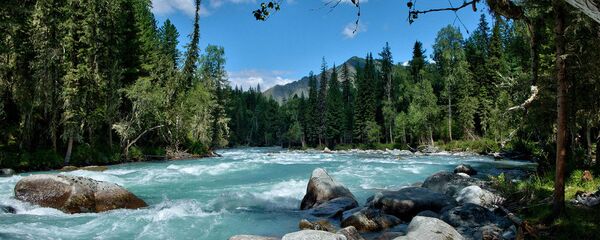 Алтай - 俄罗斯卫星通讯社