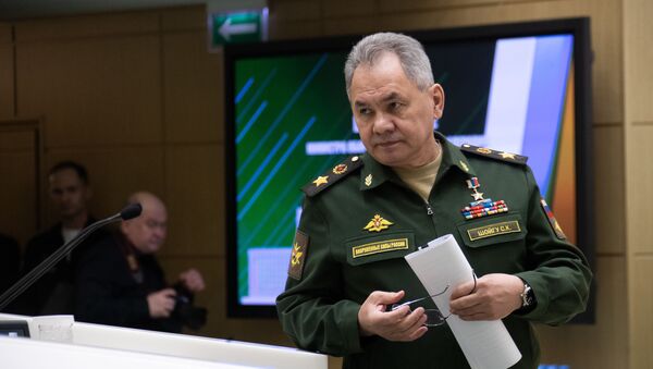 Министр обороны РФ Сергей Шойгу - 俄羅斯衛星通訊社